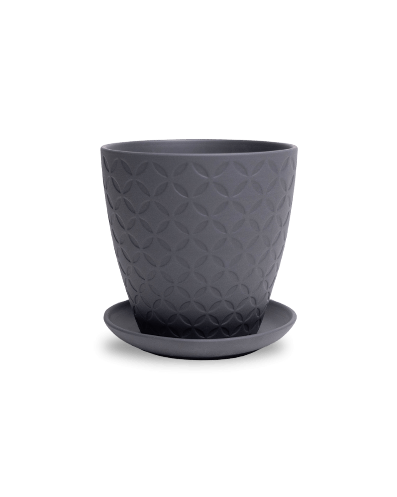 Virago 5" Porcelain Pot With Drainage Hole And Saucer - Chive Ceramics Studio - Pots - Chive Ceramics Studio