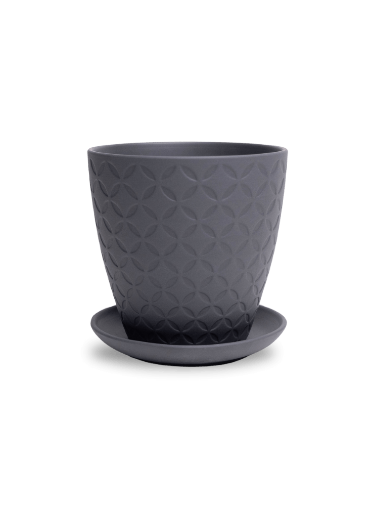 Virago 5" Porcelain Pot With Drainage Hole And Saucer - Chive Ceramics Studio - Pots - Chive Ceramics Studio