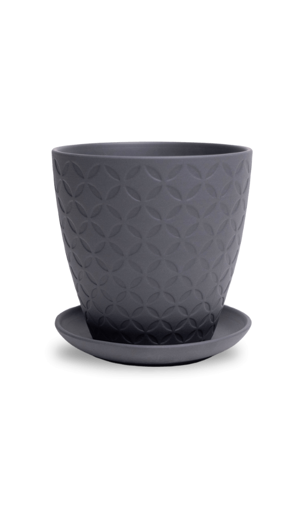 Virago 5" Porcelain Pot With Drainage Hole And Saucer - Chive Ceramics Studio - Pots - Chive Ceramics Studio