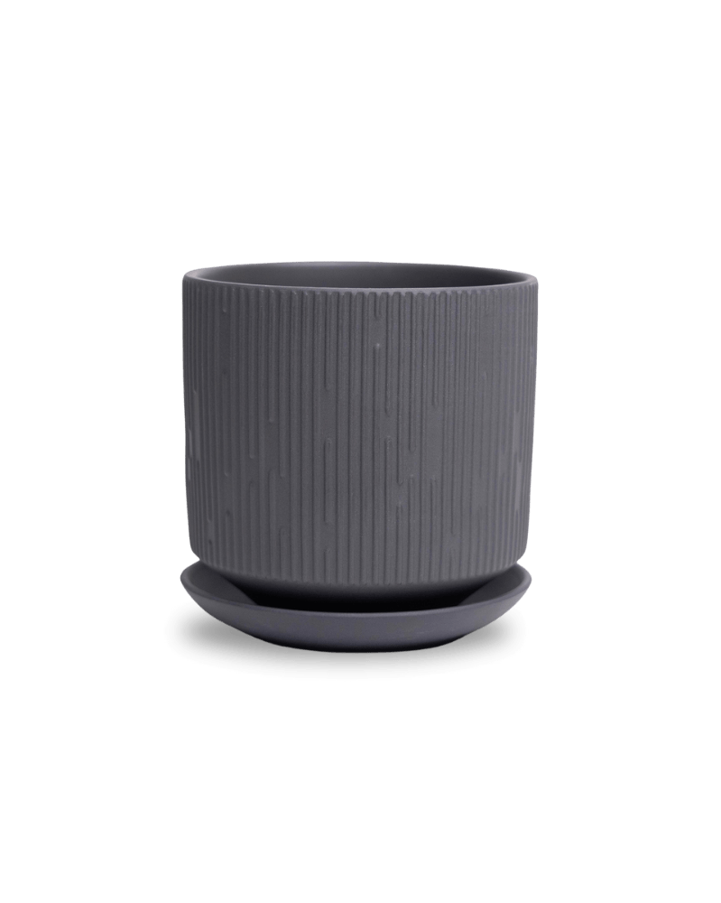 Virago 5" Porcelain Pot With Drainage Hole And Saucer - Chive Ceramics Studio - Pots - Chive Ceramics Studio