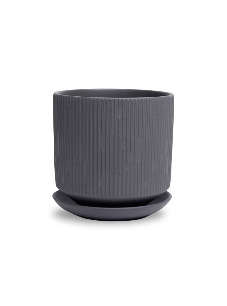 Virago 5" Porcelain Pot With Drainage Hole And Saucer - Chive Ceramics Studio - Pots - Chive Ceramics Studio