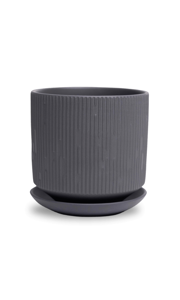 Virago 5" Porcelain Pot With Drainage Hole And Saucer - Chive Ceramics Studio - Pots - Chive Ceramics Studio