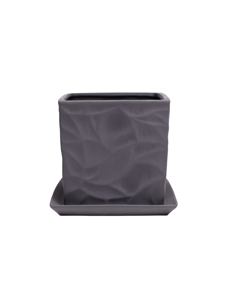 Virago 5" Porcelain Pot With Drainage Hole And Saucer - Chive Ceramics Studio - Pots - Chive Ceramics Studio