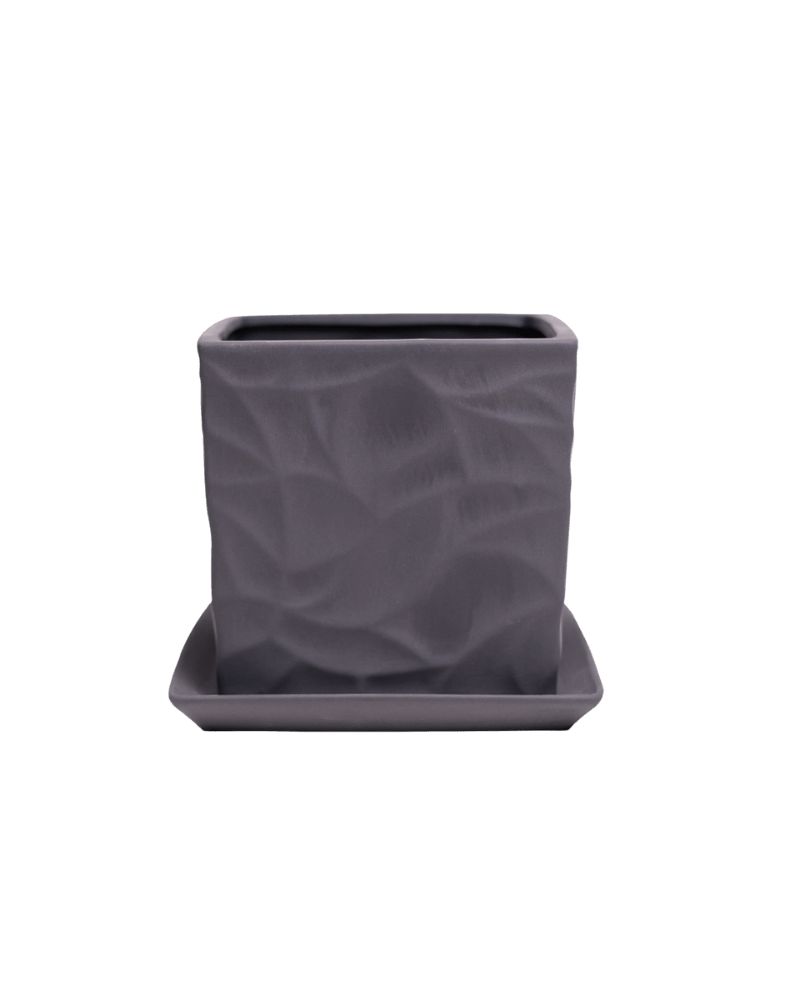 Virago 5" Porcelain Pot With Drainage Hole And Saucer - Chive Ceramics Studio - Pots - Chive Ceramics Studio