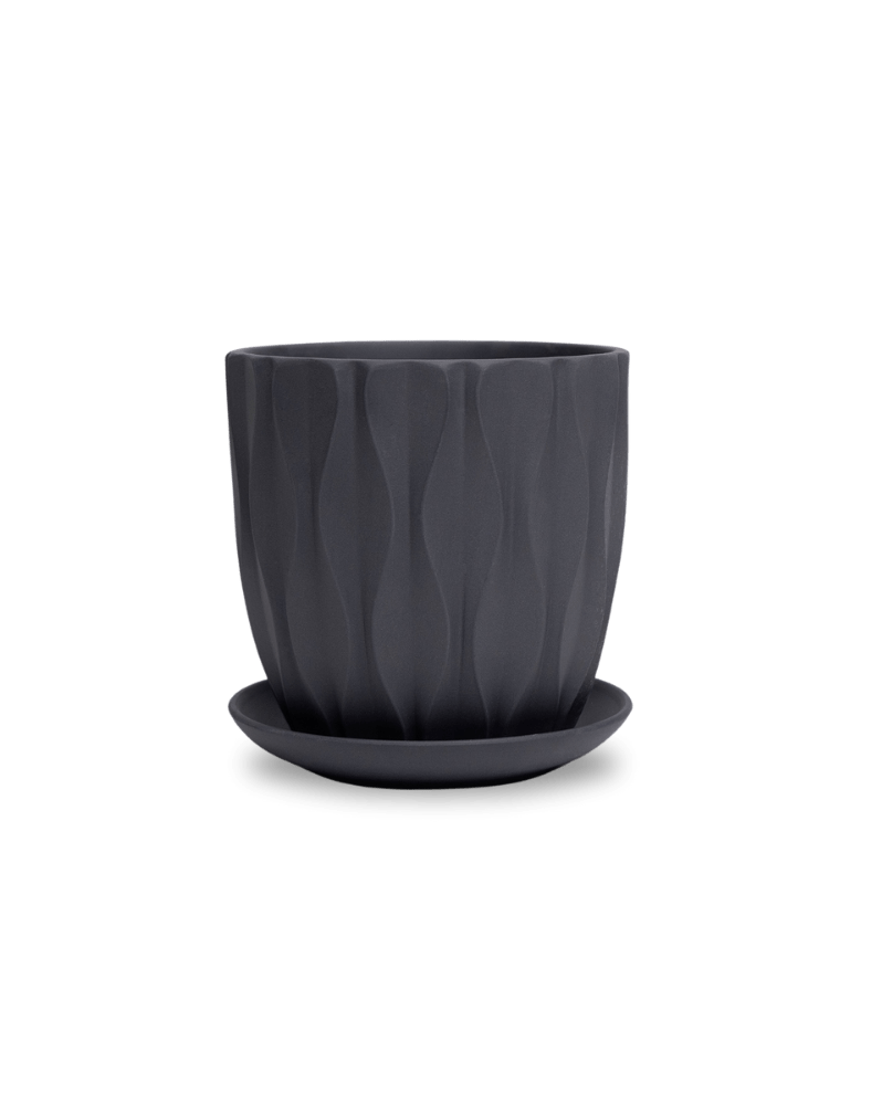 Virago 5" Porcelain Pot With Drainage Hole And Saucer - Chive Ceramics Studio - Pots - Chive Ceramics Studio