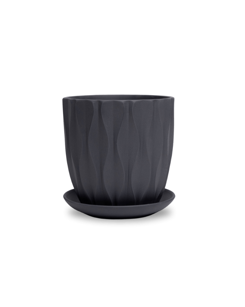 Virago 5" Porcelain Pot With Drainage Hole And Saucer - Chive Ceramics Studio - Pots - Chive Ceramics Studio