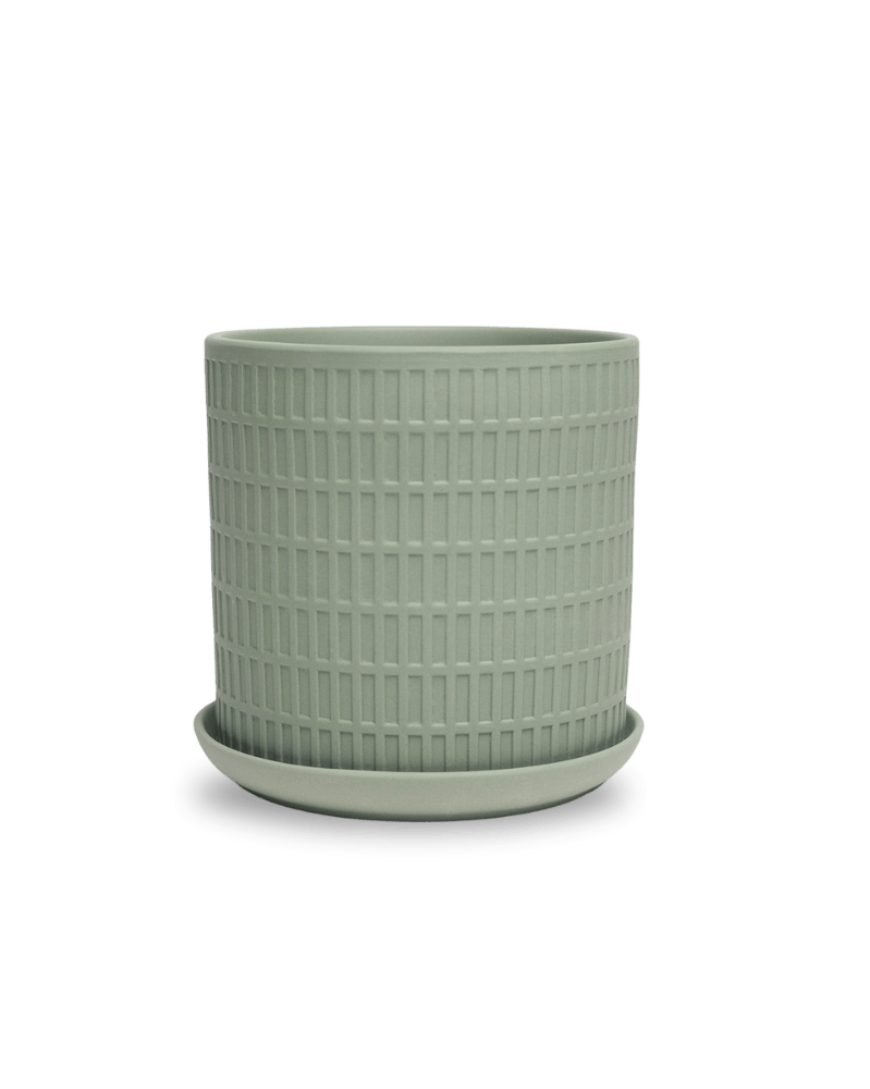 Virago 5" Porcelain Pot With Drainage Hole And Saucer - Chive Ceramics Studio - Pots - Chive Ceramics Studio