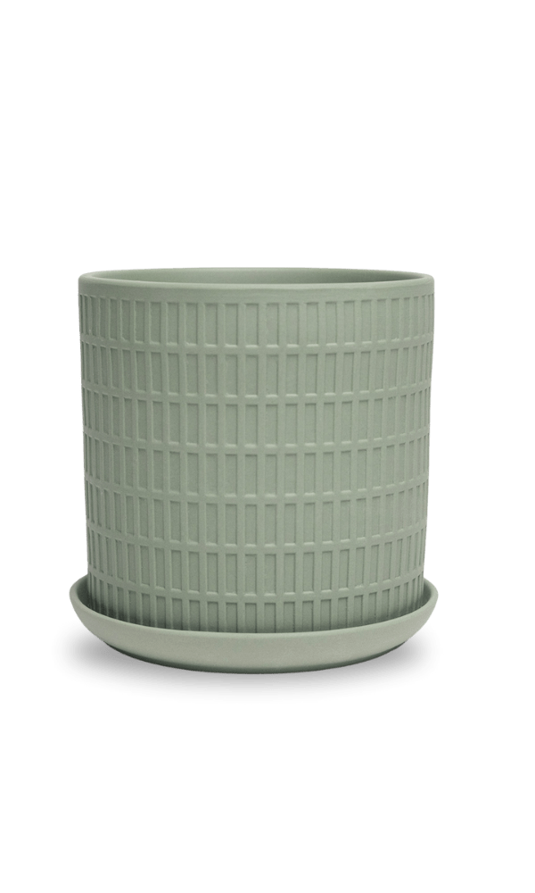 Virago 5" Porcelain Pot With Drainage Hole And Saucer - Chive Ceramics Studio - Pots - Chive Ceramics Studio