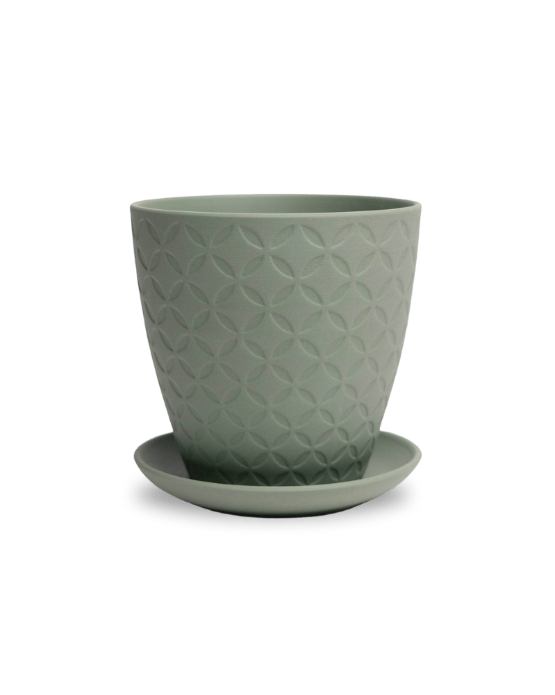 Virago 5" Porcelain Pot With Drainage Hole And Saucer - Chive Ceramics Studio - Pots - Chive Ceramics Studio