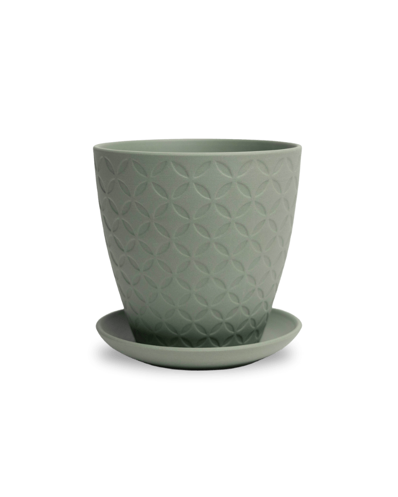 Virago 5" Porcelain Pot With Drainage Hole And Saucer - Chive Ceramics Studio - Pots - Chive Ceramics Studio