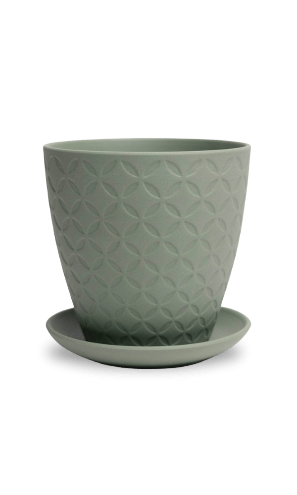 Virago 5" Porcelain Pot With Drainage Hole And Saucer - Chive Ceramics Studio - Pots - Chive Ceramics Studio