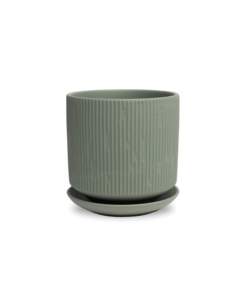 Virago 5" Porcelain Pot With Drainage Hole And Saucer - Chive Ceramics Studio - Pots - Chive Ceramics Studio