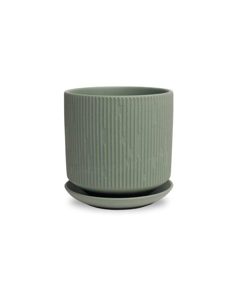 Virago 5" Porcelain Pot With Drainage Hole And Saucer - Chive Ceramics Studio - Pots - Chive Ceramics Studio