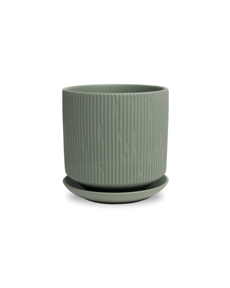 Virago 5" Porcelain Pot With Drainage Hole And Saucer - Chive Ceramics Studio - Pots - Chive Ceramics Studio