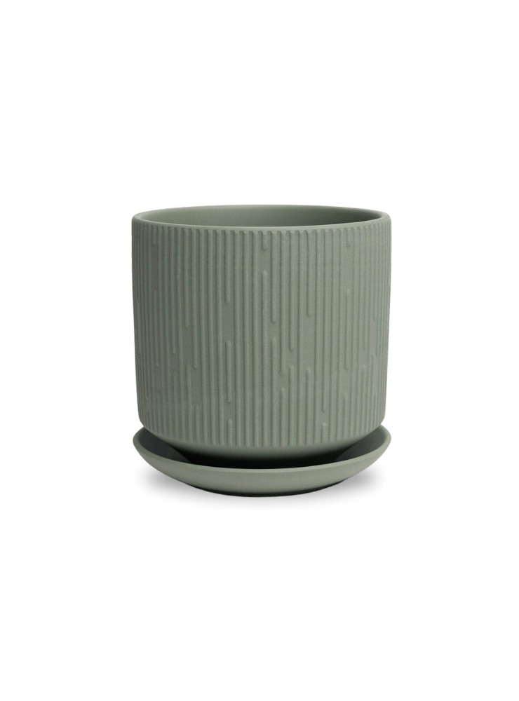 Virago 5" Porcelain Pot With Drainage Hole And Saucer - Chive Ceramics Studio - Pots - Chive Ceramics Studio