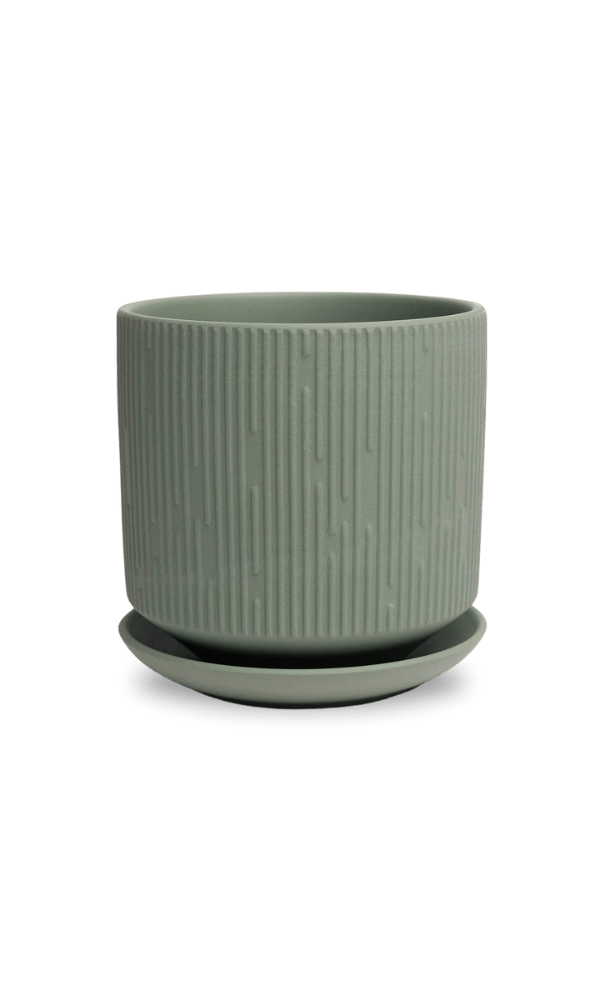 Virago 5" Porcelain Pot With Drainage Hole And Saucer - Chive Ceramics Studio - Pots - Chive Ceramics Studio