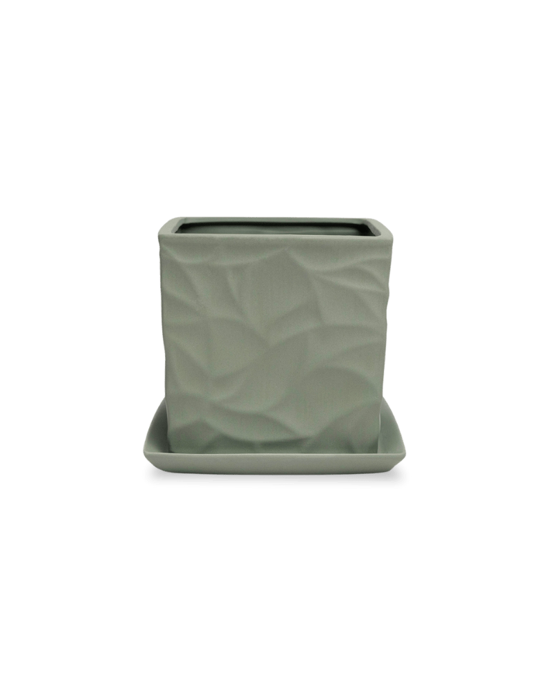 Virago 5" Porcelain Pot With Drainage Hole And Saucer - Chive Ceramics Studio - Pots - Chive Ceramics Studio