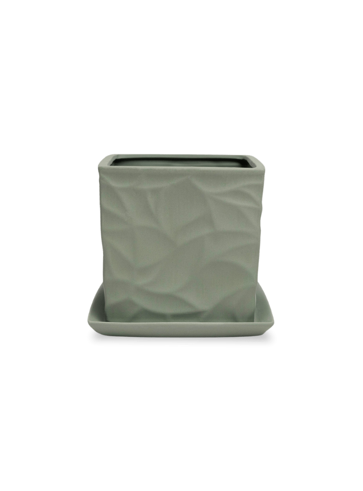 Virago 5" Porcelain Pot With Drainage Hole And Saucer - Chive Ceramics Studio - Pots - Chive Ceramics Studio