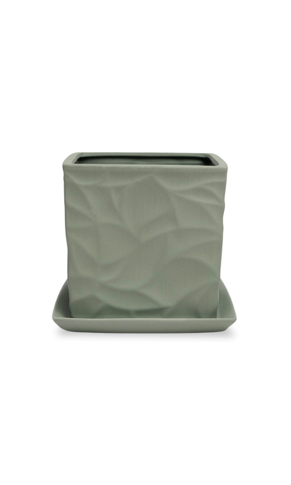 Virago 5" Porcelain Pot With Drainage Hole And Saucer - Chive Ceramics Studio - Pots - Chive Ceramics Studio