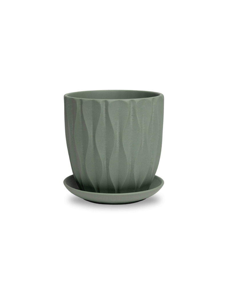 Virago 5" Porcelain Pot With Drainage Hole And Saucer - Chive Ceramics Studio - Pots - Chive Ceramics Studio