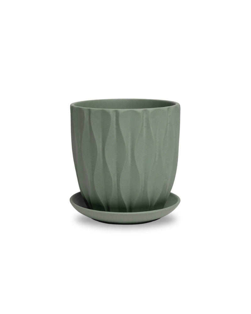 Virago 5" Porcelain Pot With Drainage Hole And Saucer - Chive Ceramics Studio - Pots - Chive Ceramics Studio