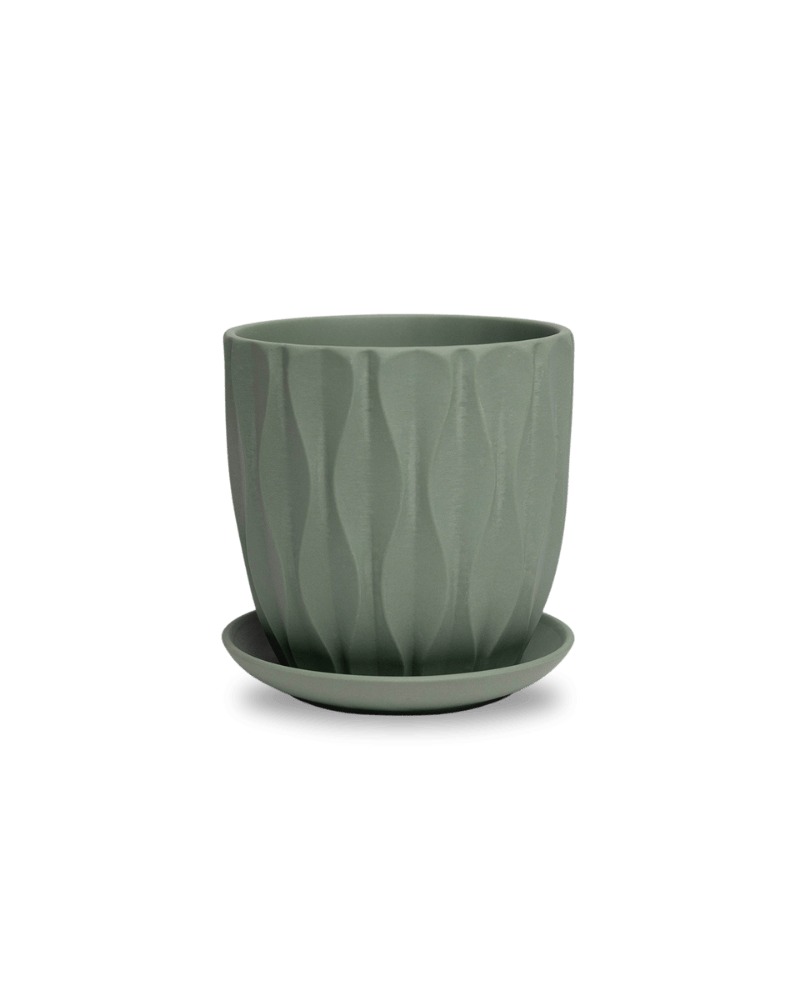 Virago 5" Porcelain Pot With Drainage Hole And Saucer - Chive Ceramics Studio - Pots - Chive Ceramics Studio