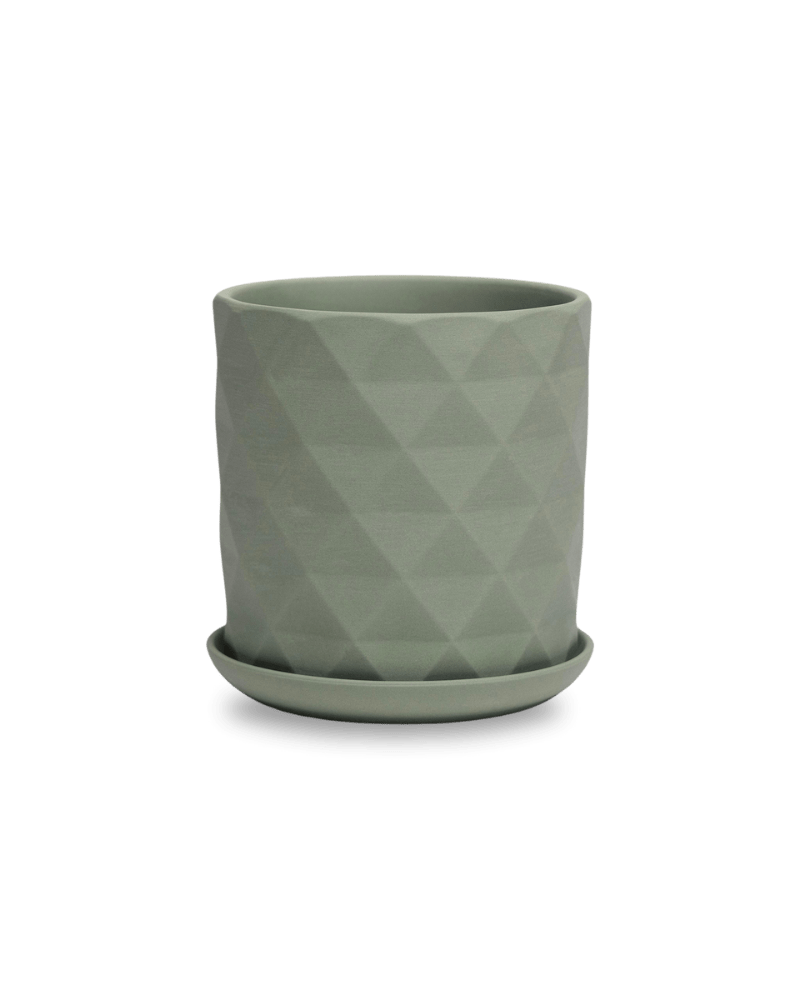 Virago 5" Porcelain Pot With Drainage Hole And Saucer - Chive Ceramics Studio - Pots - Chive Ceramics Studio