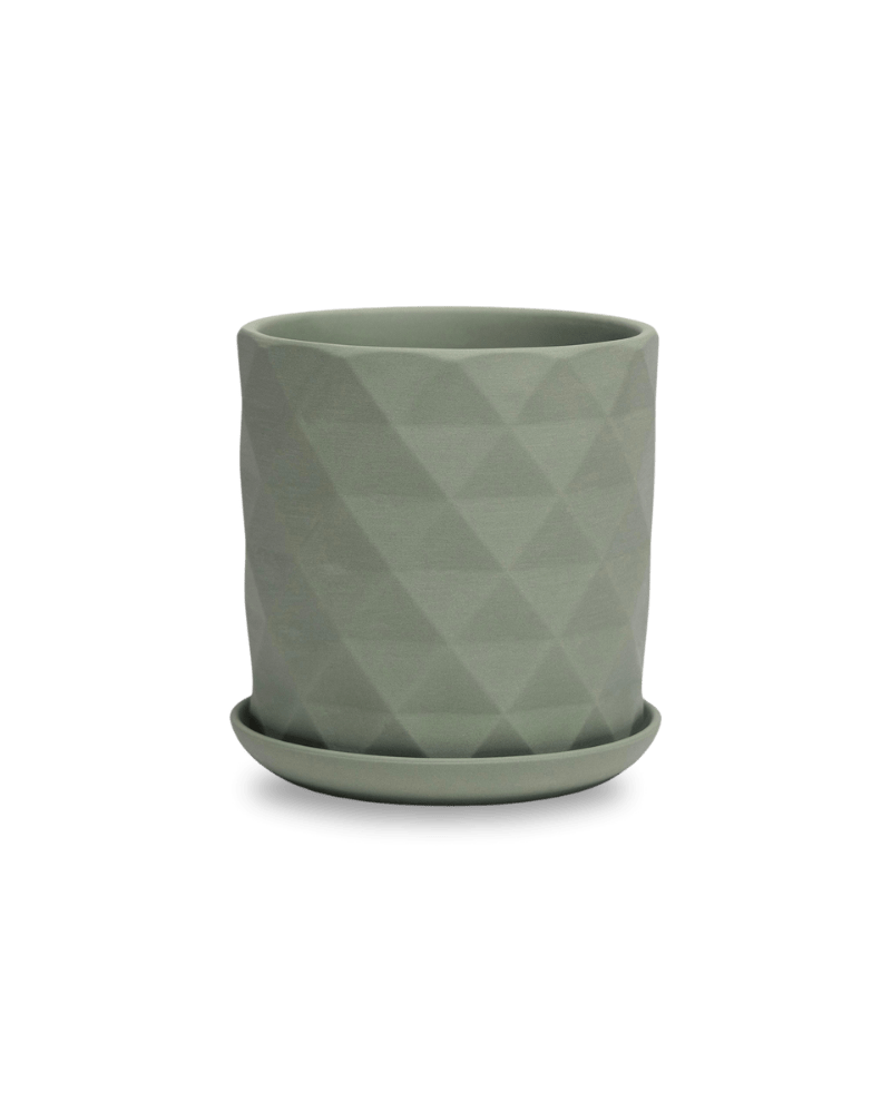 Virago 5" Porcelain Pot With Drainage Hole And Saucer - Chive Ceramics Studio - Pots - Chive Ceramics Studio