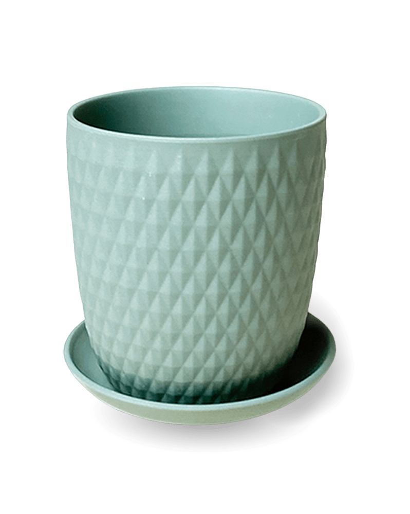 Virago 5" Porcelain Pot With Drainage Hole And Saucer - Chive Ceramics Studio - Pots - Chive Ceramics Studio