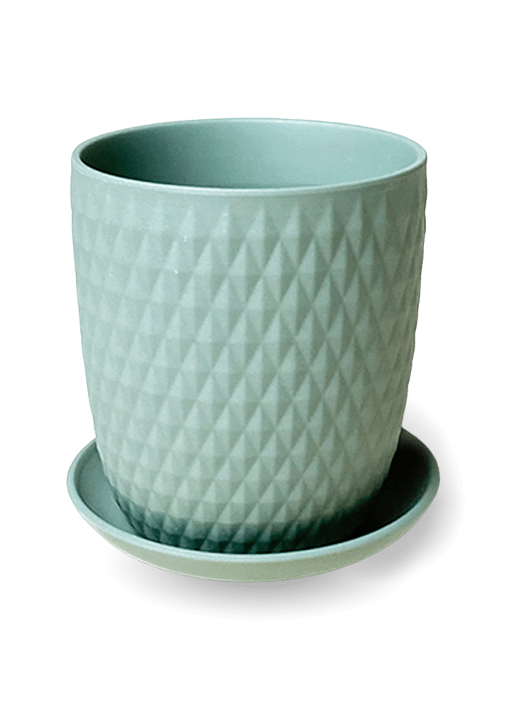 Virago 5" Porcelain Pot With Drainage Hole And Saucer - Chive Ceramics Studio - Pots - Chive Ceramics Studio