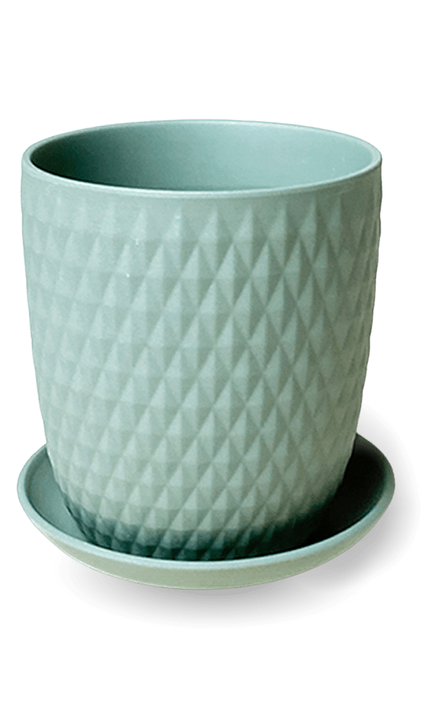 Virago 5" Porcelain Pot With Drainage Hole And Saucer - Chive Ceramics Studio - Pots - Chive Ceramics Studio