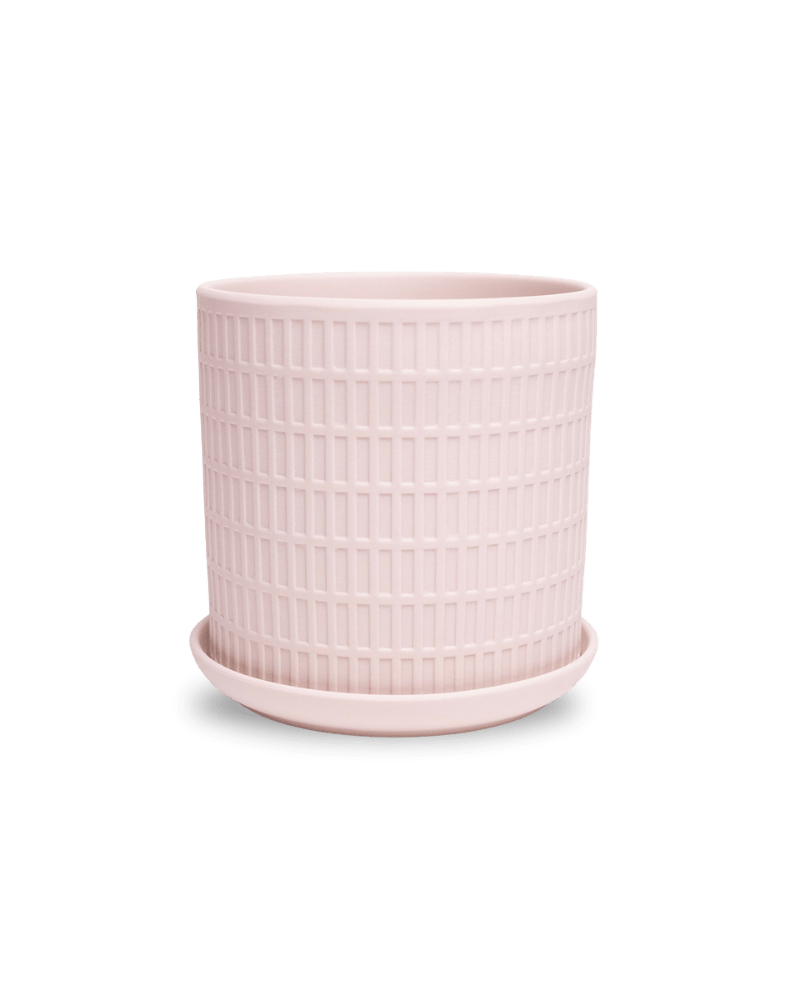 Virago 5" Porcelain Pot With Drainage Hole And Saucer - Chive Ceramics Studio - Pots - Chive Ceramics Studio