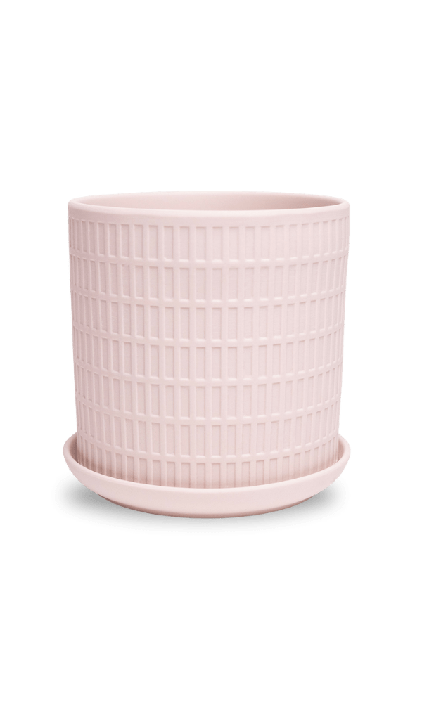 Virago 5" Porcelain Pot With Drainage Hole And Saucer - Chive Ceramics Studio - Pots - Chive Ceramics Studio