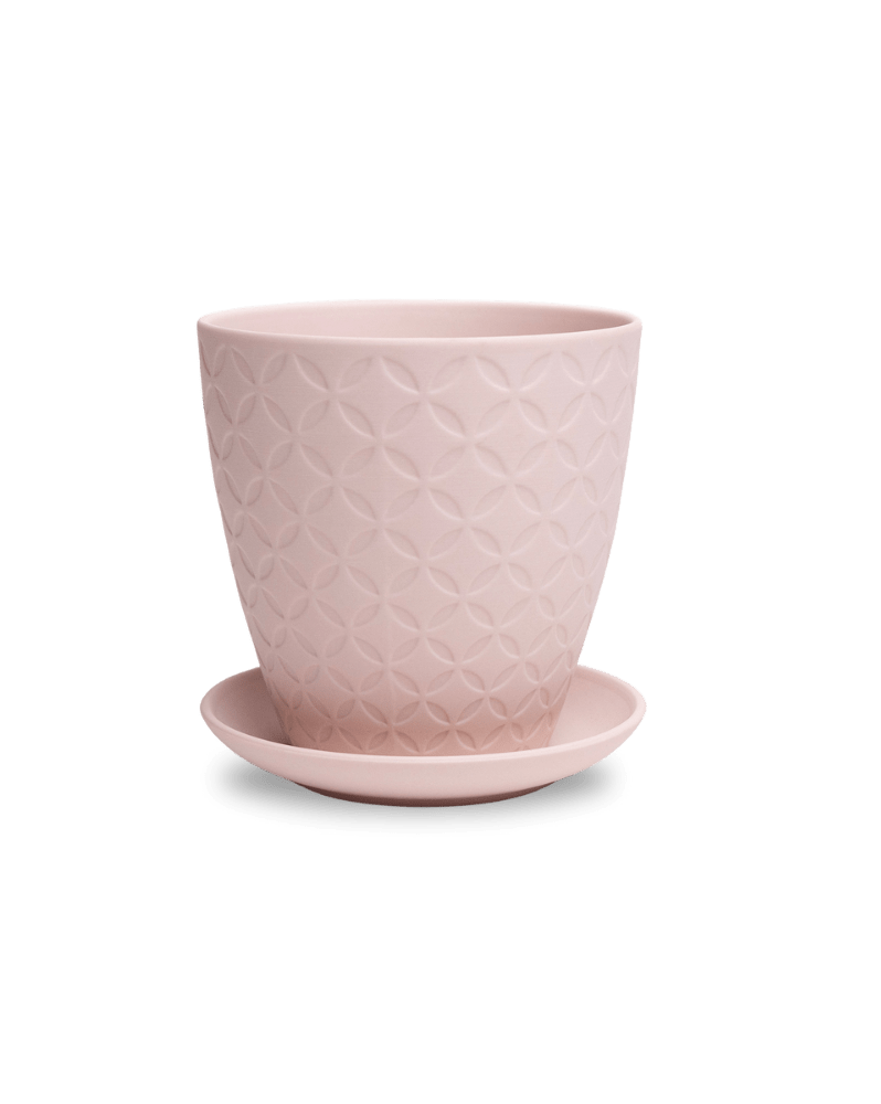 Virago 5" Porcelain Pot With Drainage Hole And Saucer - Chive Ceramics Studio - Pots - Chive Ceramics Studio