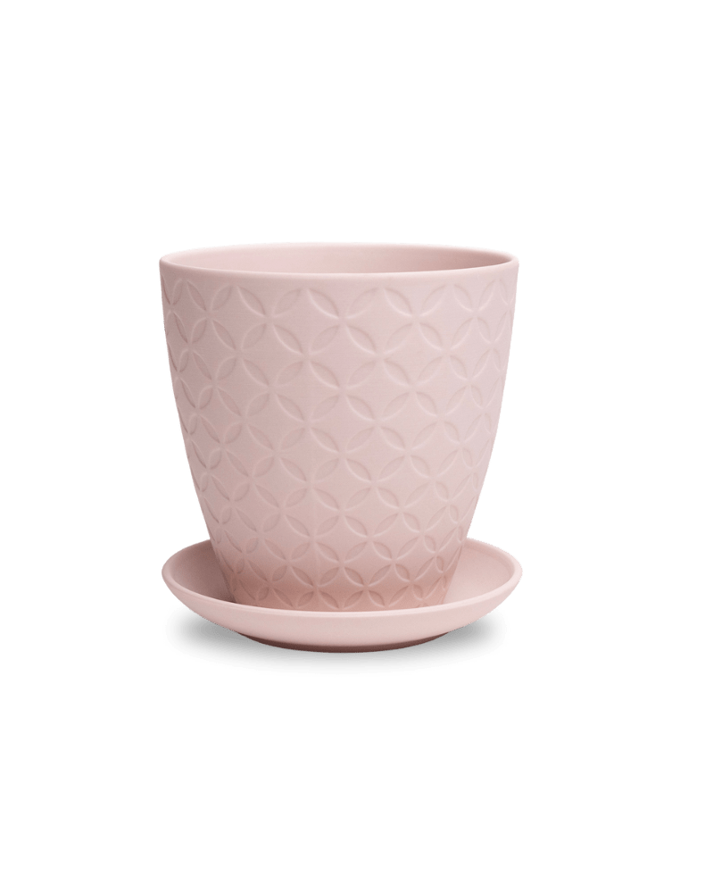 Virago 5" Porcelain Pot With Drainage Hole And Saucer - Chive Ceramics Studio - Pots - Chive Ceramics Studio