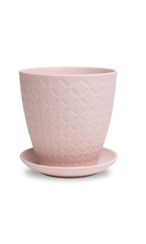 Virago 5" Porcelain Pot With Drainage Hole And Saucer - Chive Ceramics Studio - Pots - Chive Ceramics Studio