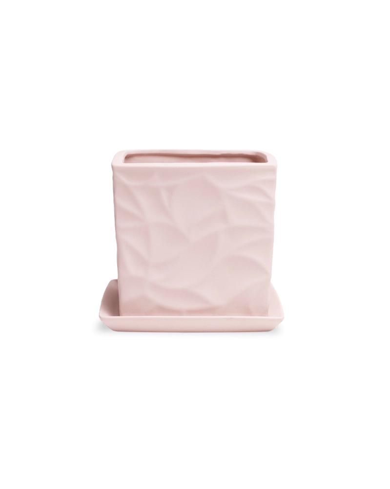 Virago 5" Porcelain Pot With Drainage Hole And Saucer - Chive Ceramics Studio - Pots - Chive Ceramics Studio