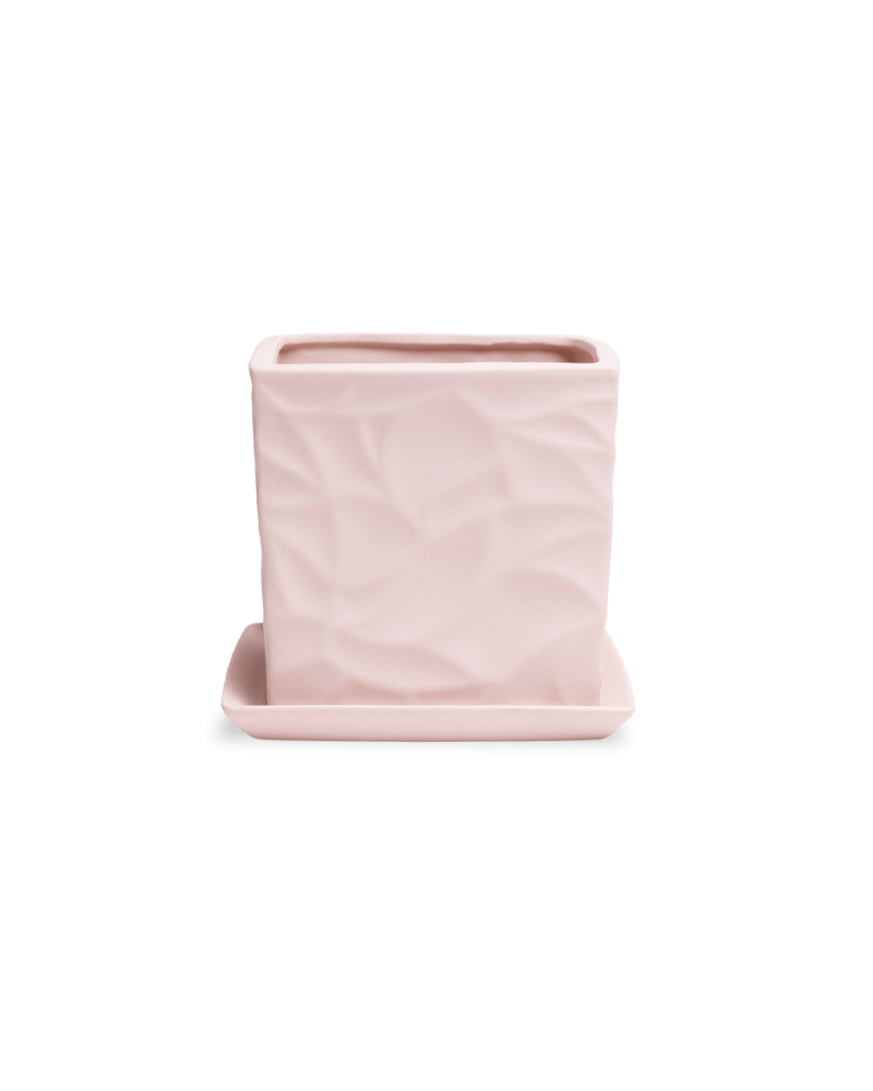 Virago 5" Porcelain Pot With Drainage Hole And Saucer - Chive Ceramics Studio - Pots - Chive Ceramics Studio