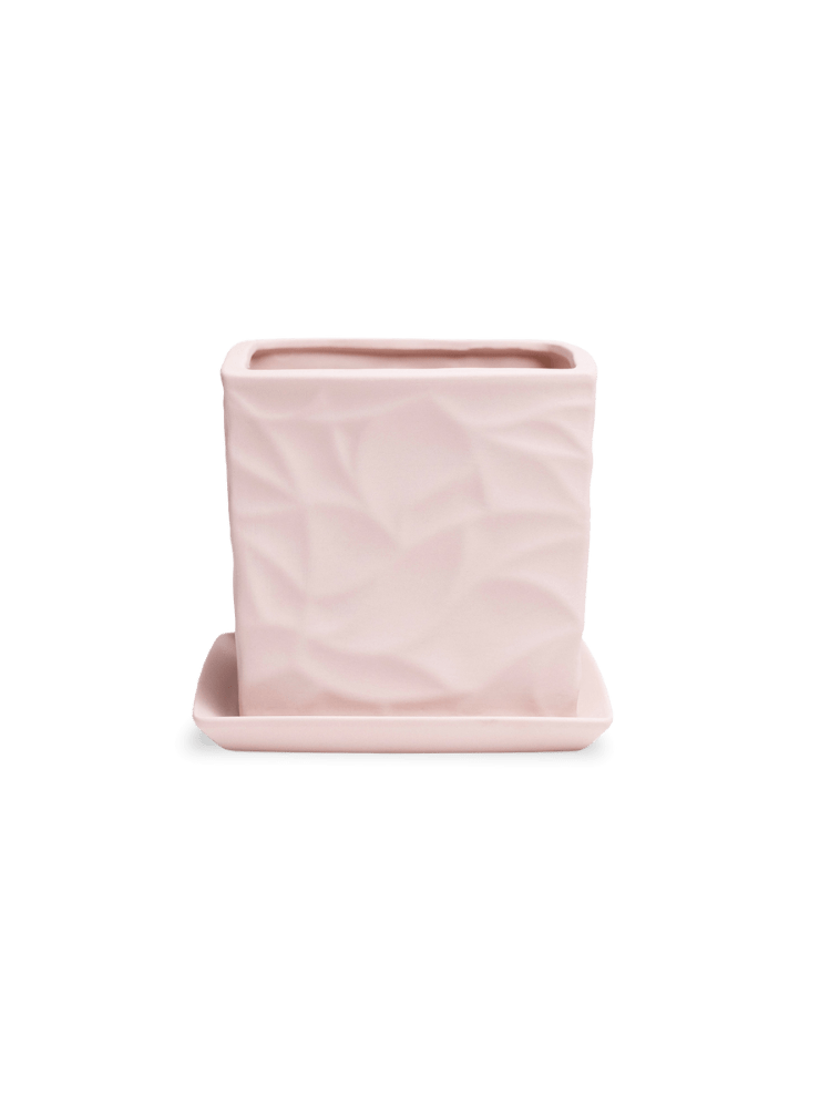 Virago 5" Porcelain Pot With Drainage Hole And Saucer - Chive Ceramics Studio - Pots - Chive Ceramics Studio