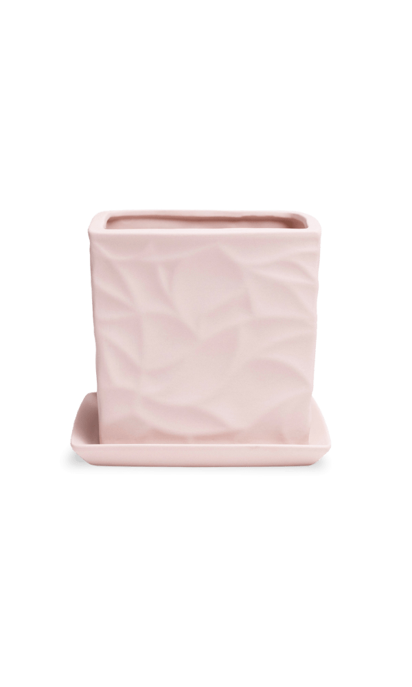 Virago 5" Porcelain Pot With Drainage Hole And Saucer - Chive Ceramics Studio - Pots - Chive Ceramics Studio