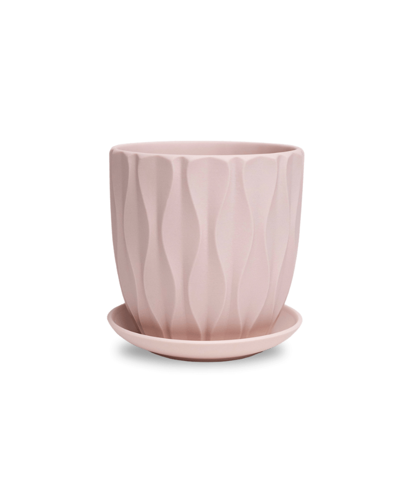 Virago 5" Porcelain Pot With Drainage Hole And Saucer - Chive Ceramics Studio - Pots - Chive Ceramics Studio