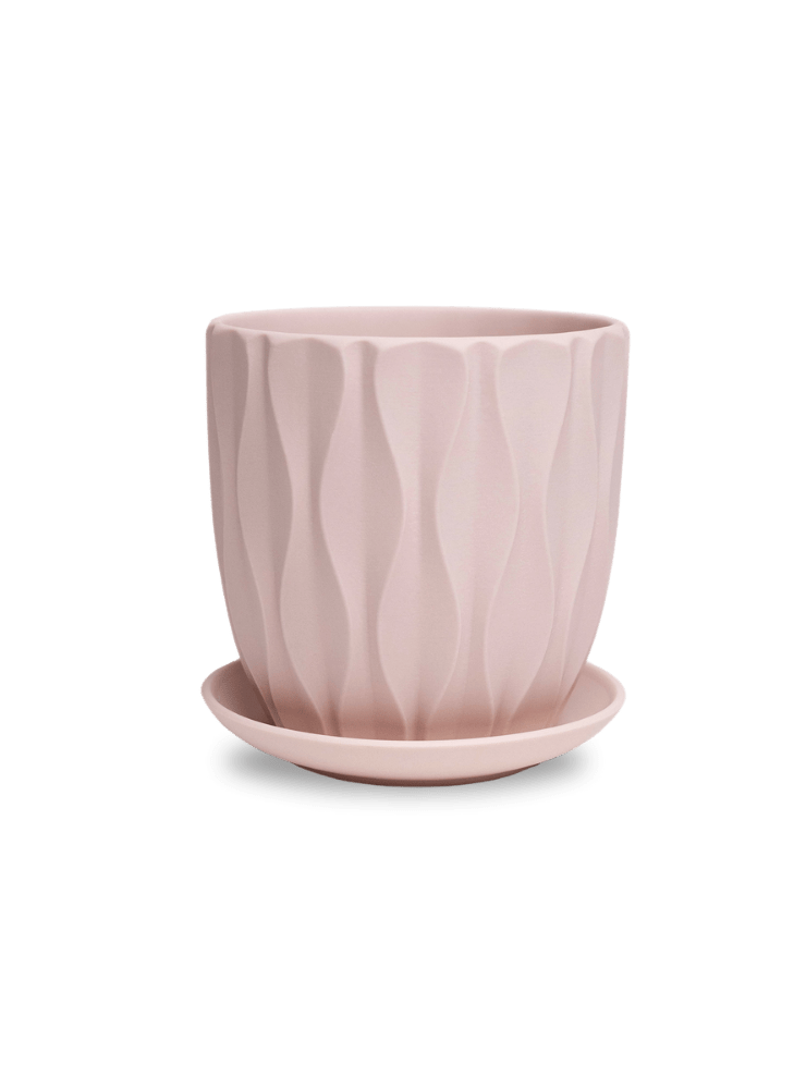 Virago 5" Porcelain Pot With Drainage Hole And Saucer - Chive Ceramics Studio - Pots - Chive Ceramics Studio