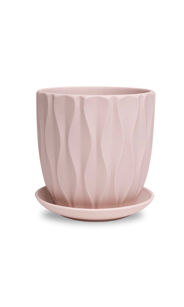 Virago 5" Porcelain Pot With Drainage Hole And Saucer - Chive Ceramics Studio - Pots - Chive Ceramics Studio