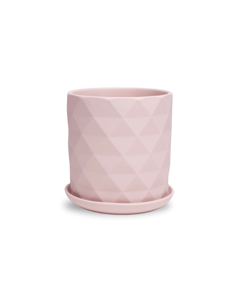 Virago 5" Porcelain Pot With Drainage Hole And Saucer - Chive Ceramics Studio - Pots - Chive Ceramics Studio