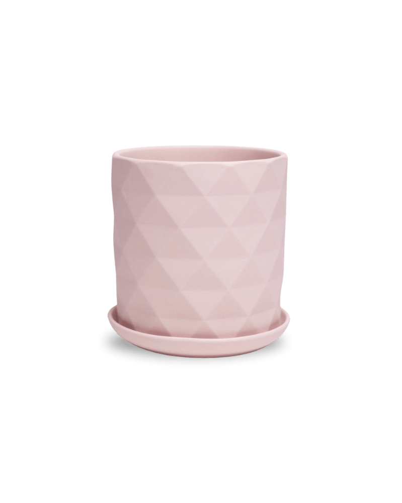 Virago 5" Porcelain Pot With Drainage Hole And Saucer - Chive Ceramics Studio - Pots - Chive Ceramics Studio