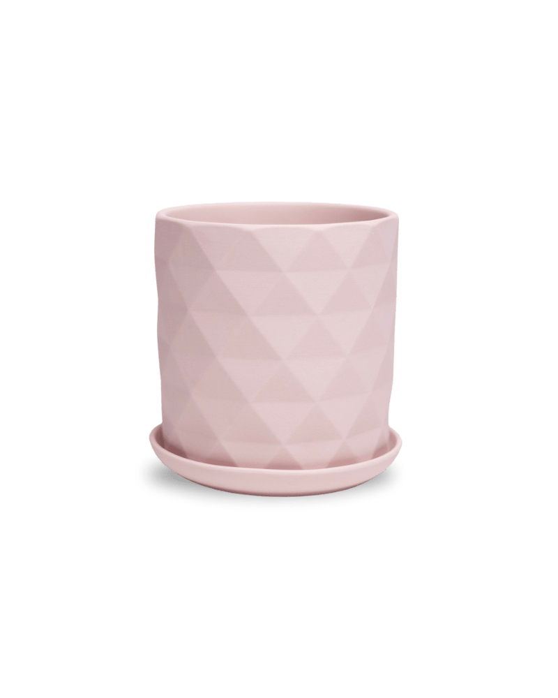 Virago 5" Porcelain Pot With Drainage Hole And Saucer - Chive Ceramics Studio - Pots - Chive Ceramics Studio