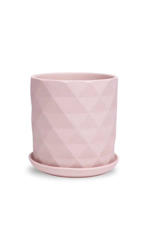 Virago 5" Porcelain Pot With Drainage Hole And Saucer - Chive Ceramics Studio - Pots - Chive Ceramics Studio