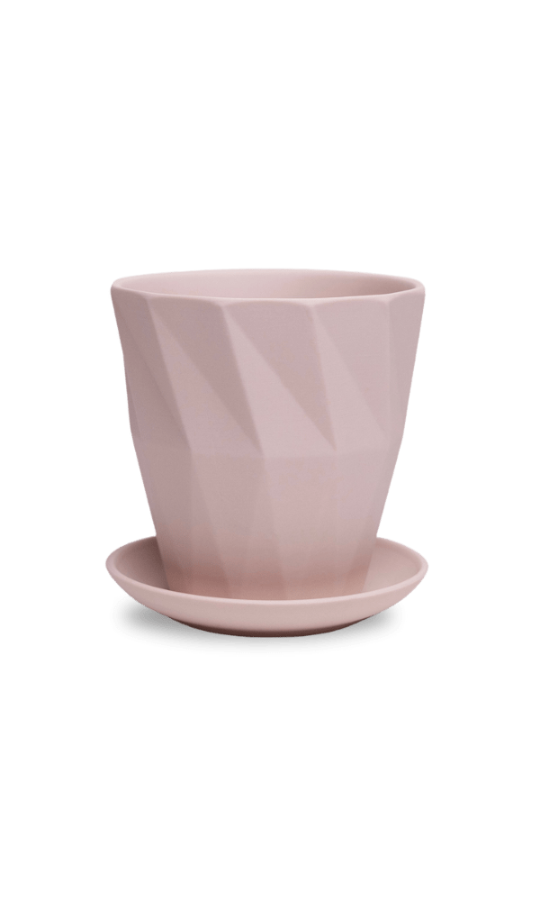 Virago 5" Porcelain Pot With Drainage Hole And Saucer - Chive Ceramics Studio - Pots - Chive Ceramics Studio