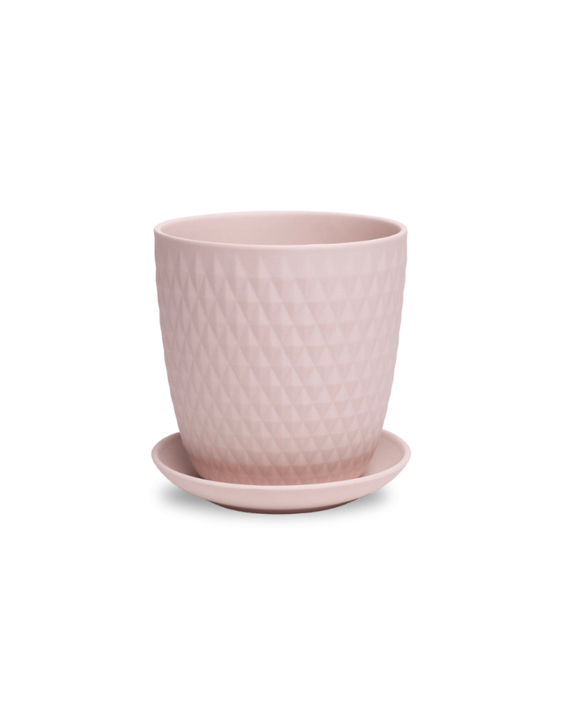 Virago 5" Porcelain Pot With Drainage Hole And Saucer - Chive Ceramics Studio - Pots - Chive Ceramics Studio