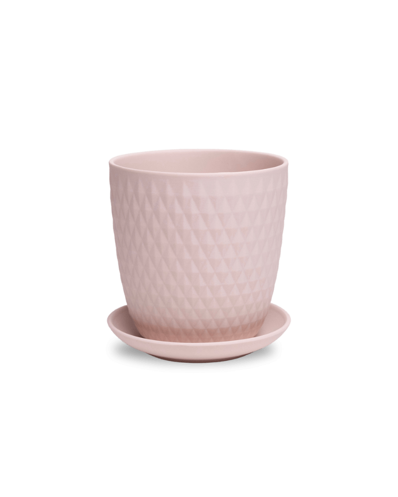 Virago 5" Porcelain Pot With Drainage Hole And Saucer - Chive Ceramics Studio - Pots - Chive Ceramics Studio